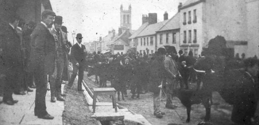 Cattle on Honiton High Street near St Pauls Church