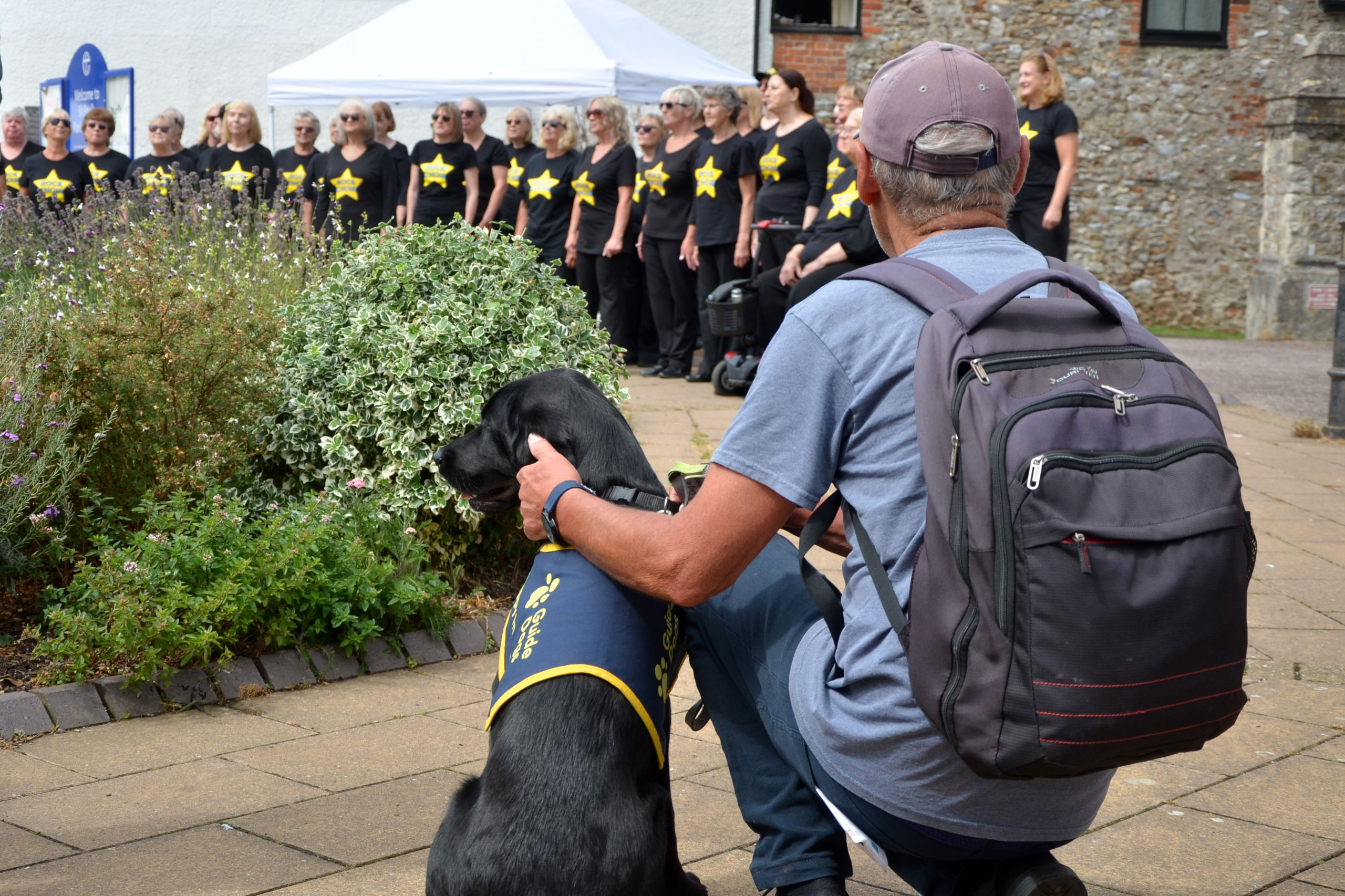 A guide dog in training watching the Rock Choir performing at Honiton Market Charter Day 2025